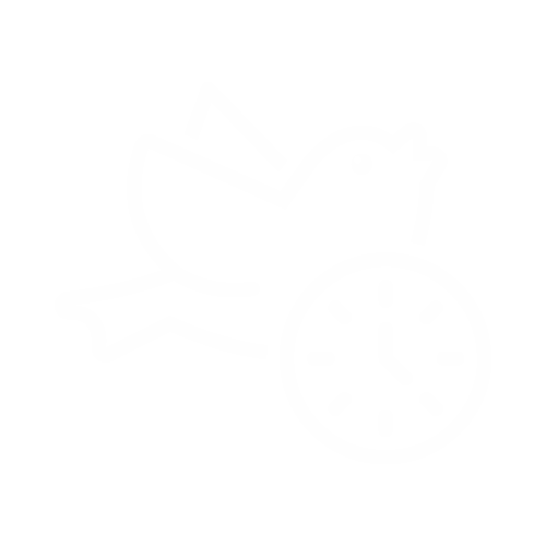 Early bird website icon